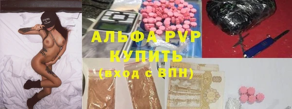 шишки Богданович