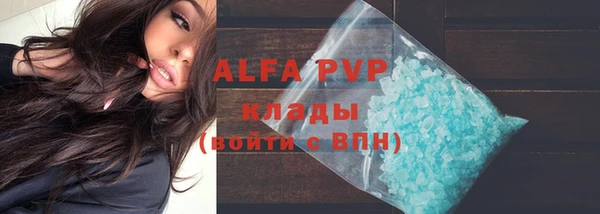 шишки Богданович