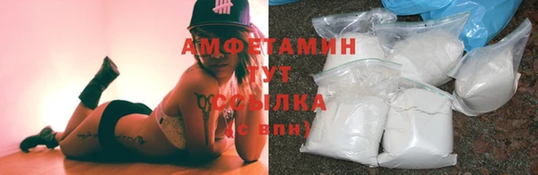 apvp Богородицк