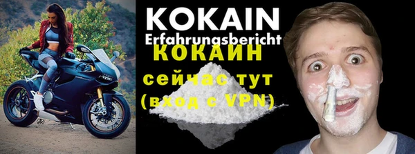 шишки Богданович